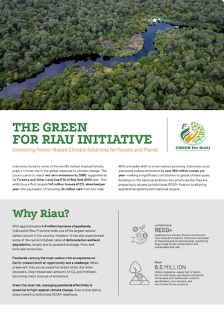 THE GREEN FOR RIAU INITIATIVE